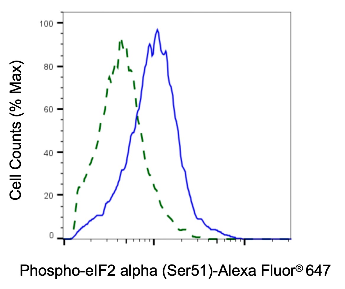 eIF2 alpha/EIF2S1 [p Ser51] Antibody (24GB3905)