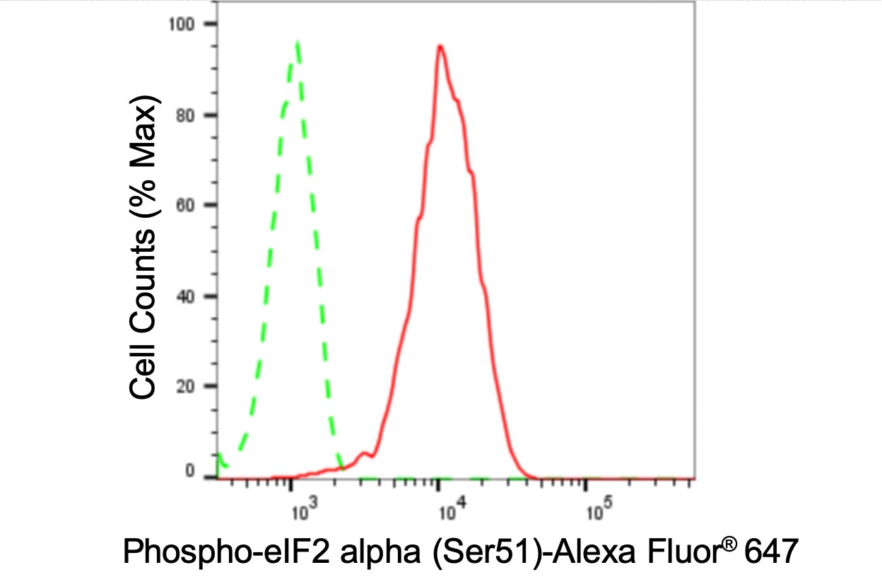 eIF2 alpha/EIF2S1 [p Ser51] Antibody (24GB3905)