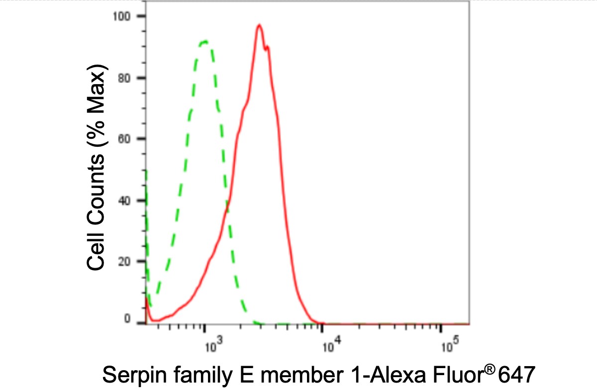 Serpin E1/PAI-1 Antibody (24GB4055)
