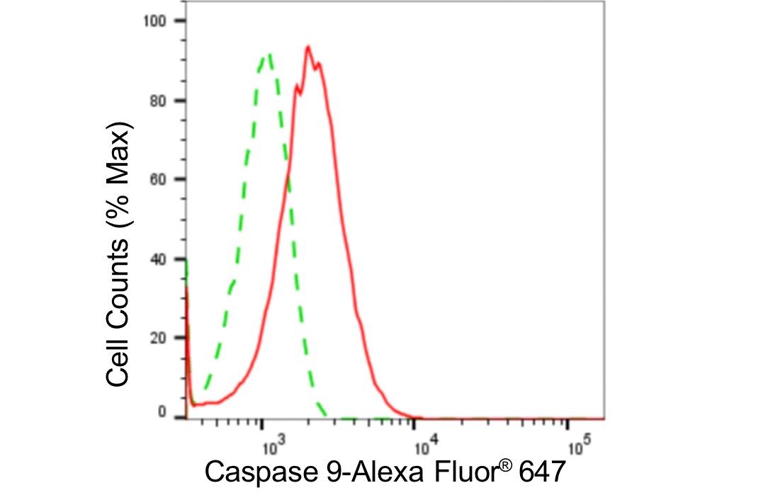 Caspase-9 Antibody (24GB4275)