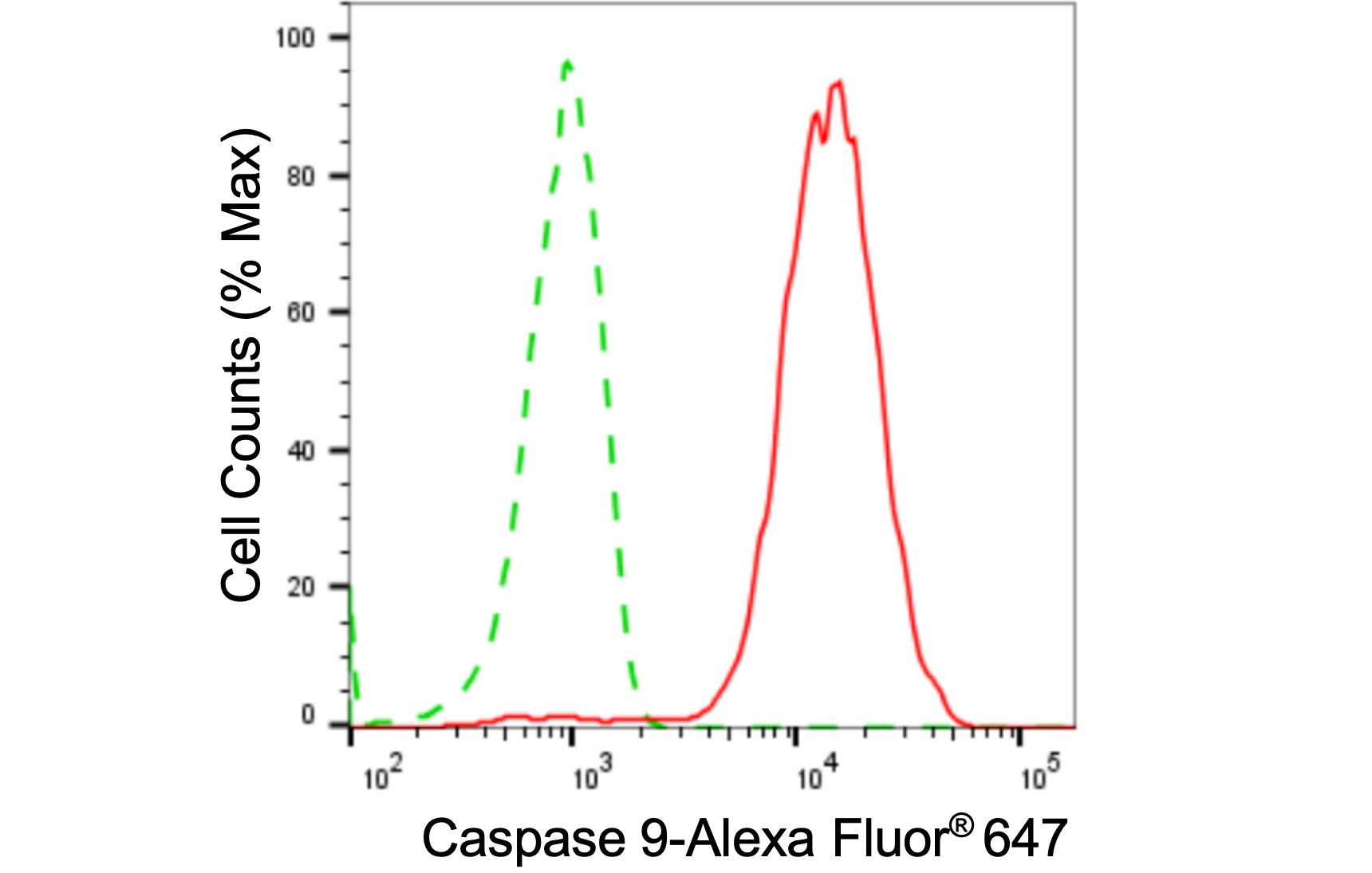 Caspase-9 Antibody (24GB4285)