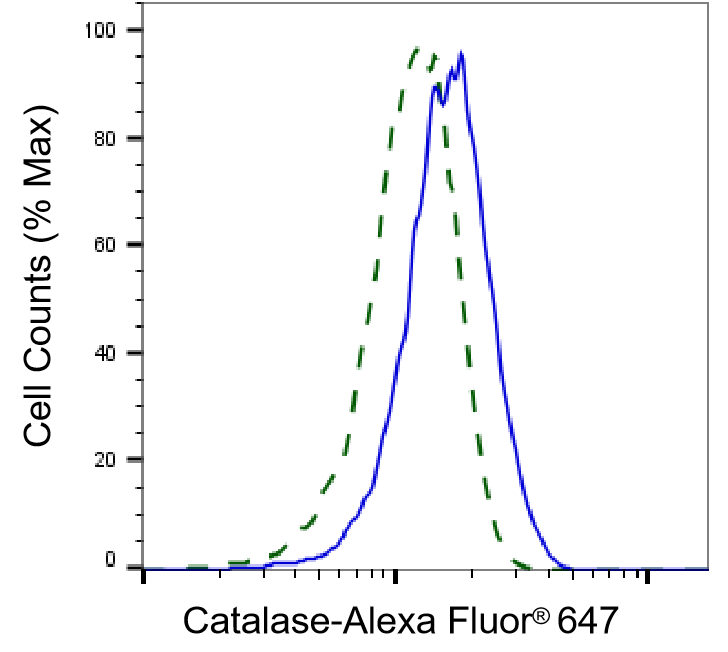 Catalase Antibody (24GB4290)