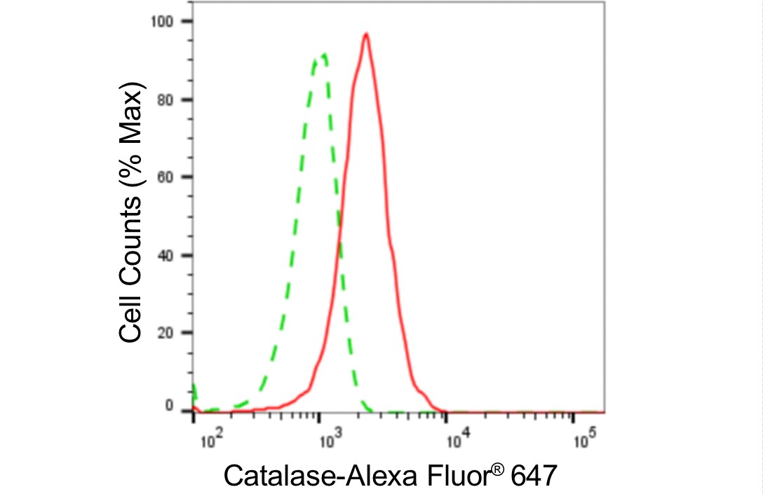 Catalase Antibody (24GB4295)