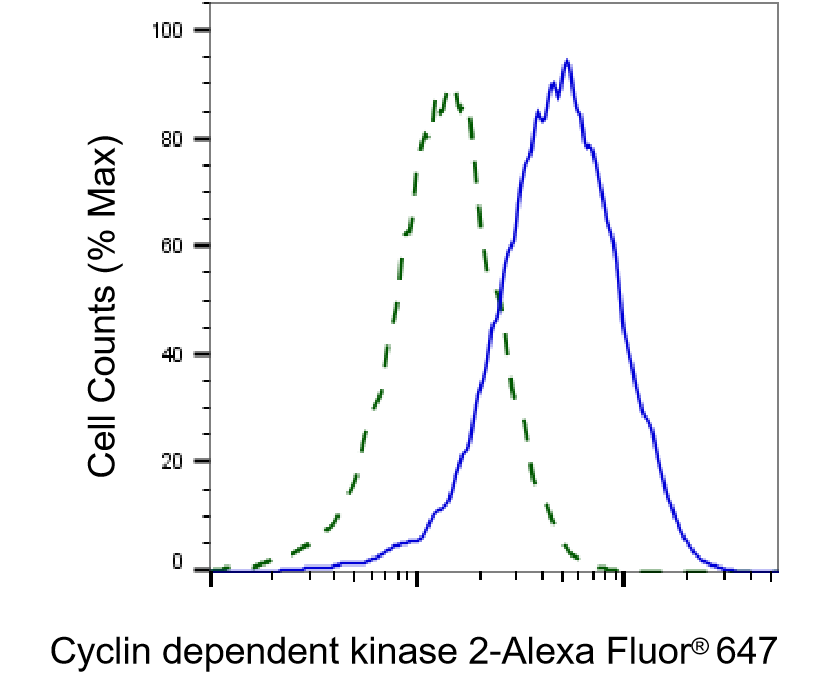 CDK2 Antibody (24GB4315)