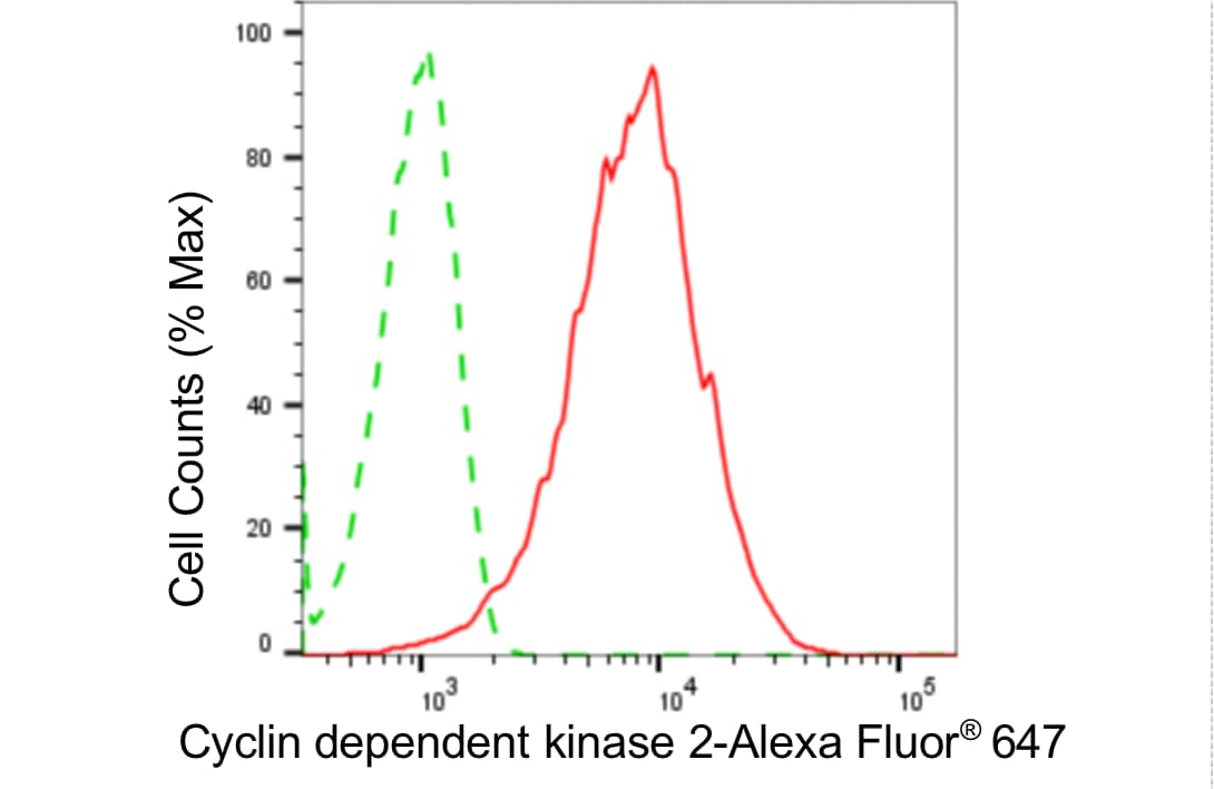 CDK2 Antibody (24GB4315)