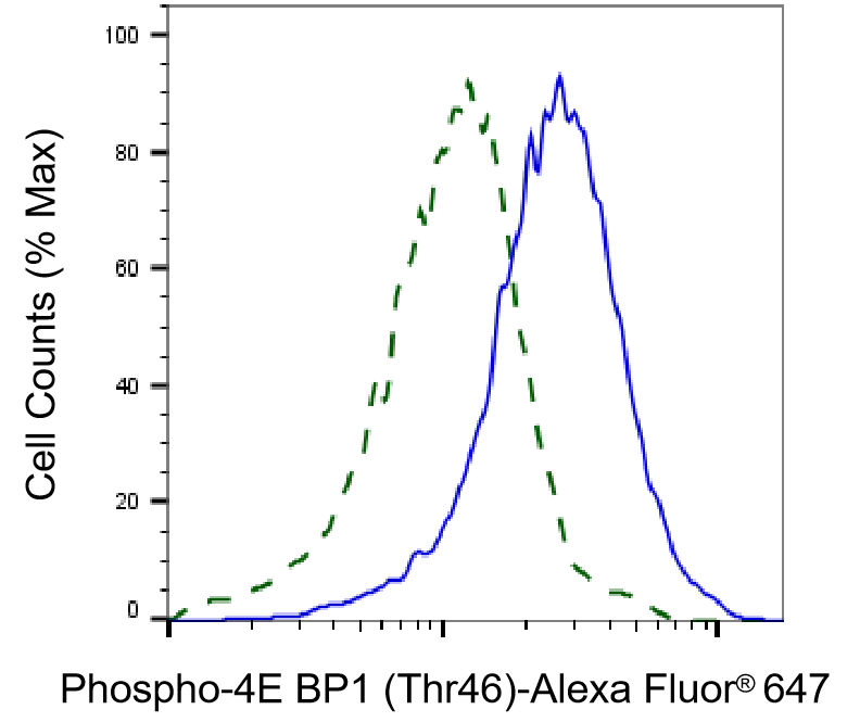 4EBP1 [p Thr46] Antibody (24GB4405)