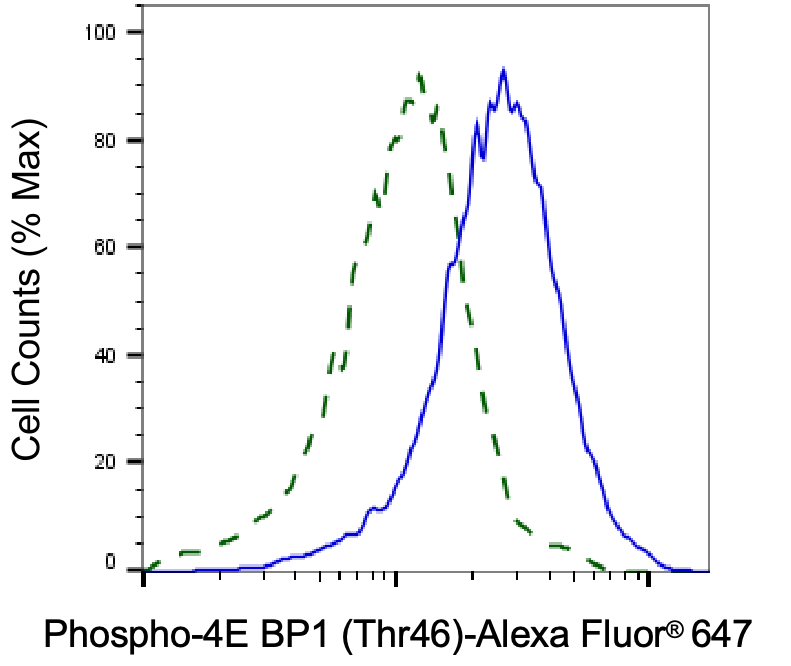 4EBP1 [p Thr46] Antibody (24GB4405)
