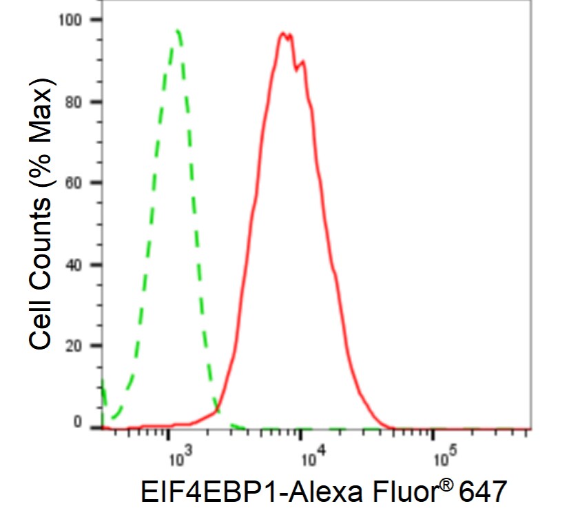 4EBP1 Antibody (24GB4410)