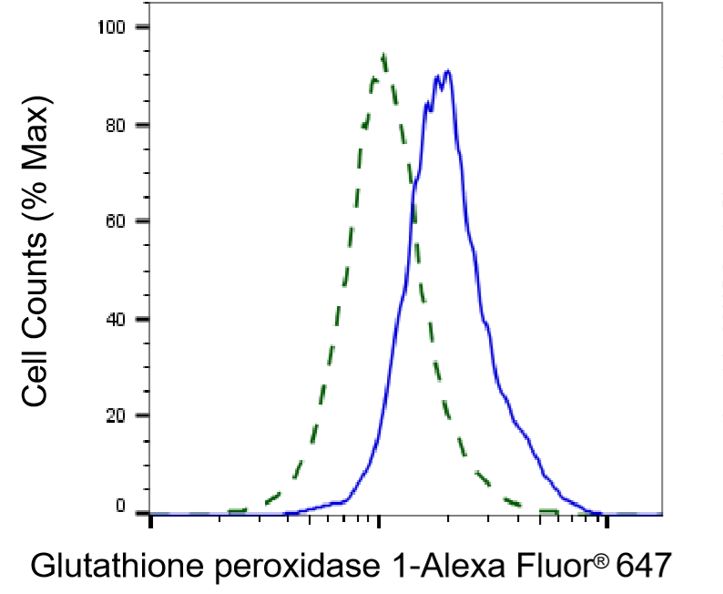 Glutathione Peroxidase 1/GPX1 Antibody (24GB4425)