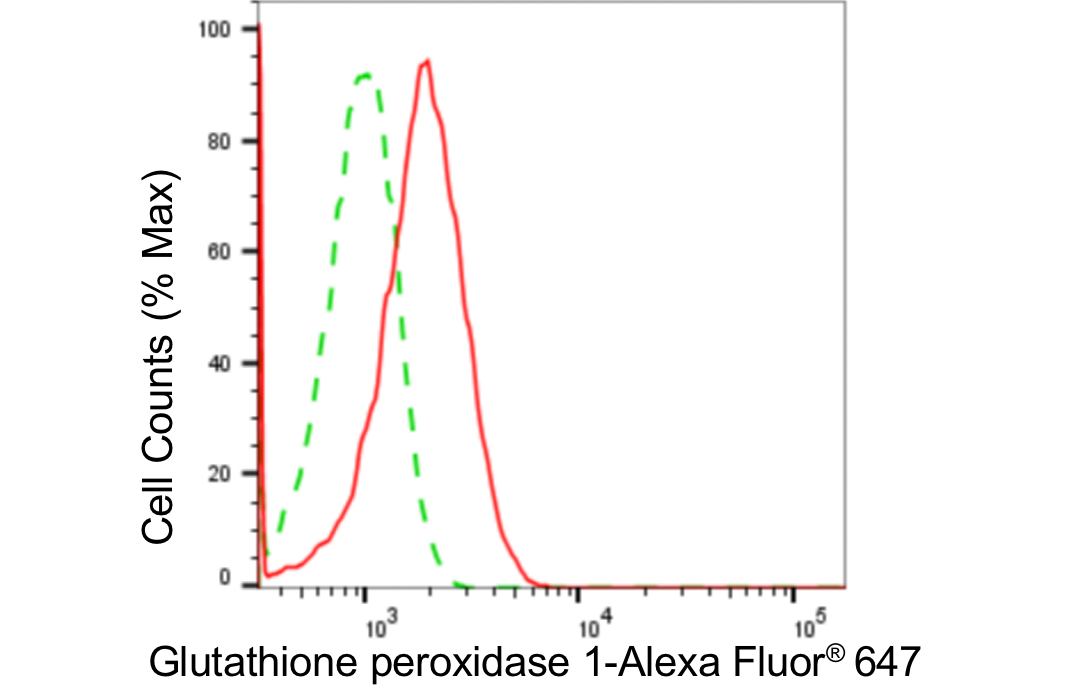 Glutathione Peroxidase 1/GPX1 Antibody (24GB4425)
