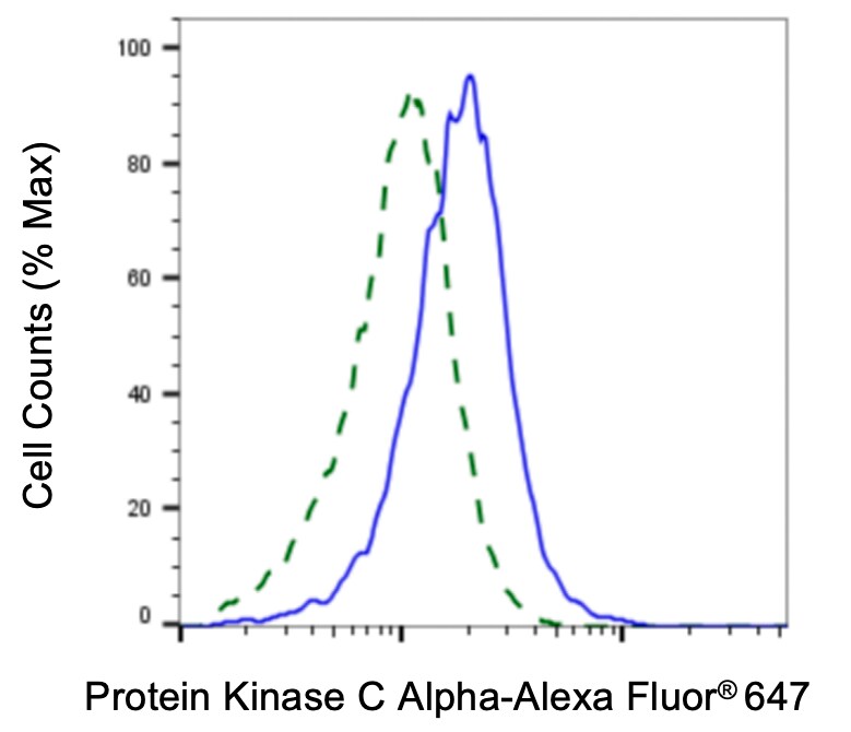 PKC alpha Antibody (24GB4475)