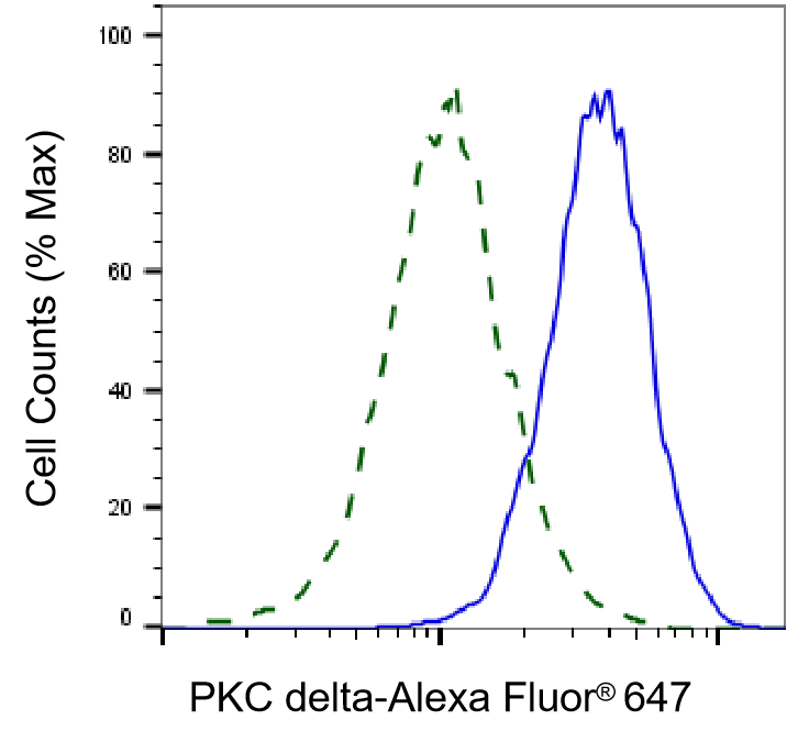 PKC delta Antibody (24GB4485)