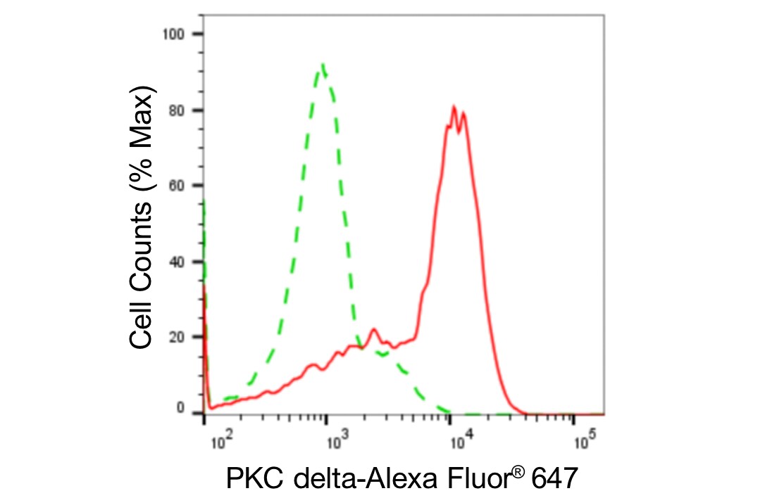 PKC delta Antibody (24GB4485)