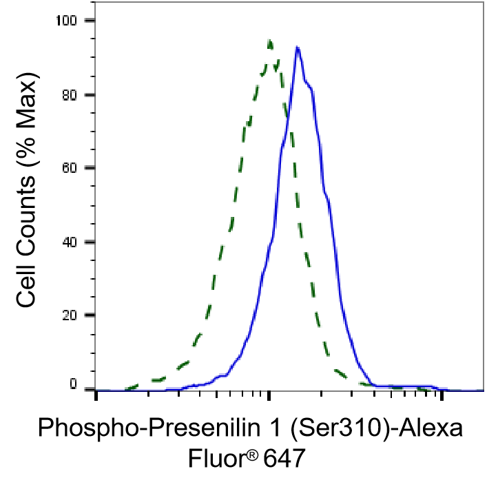 Presenilin-1 [p Ser310] Antibody (24GB4510)