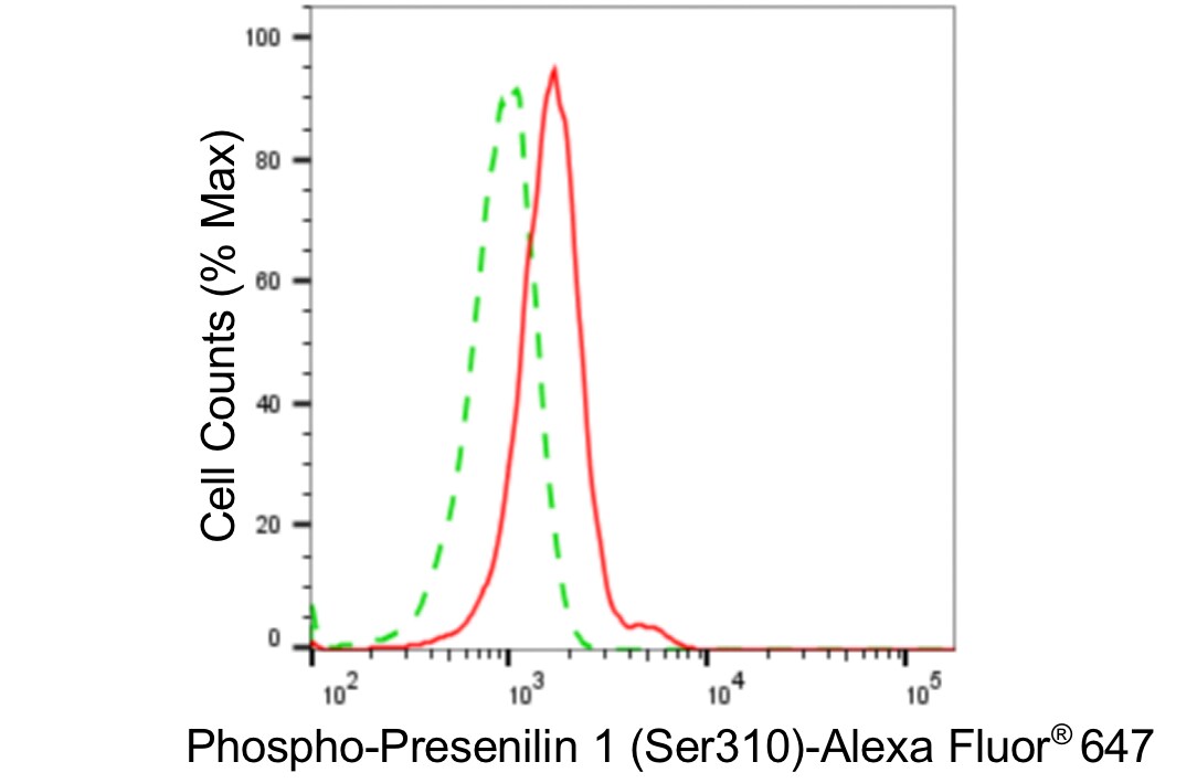 Presenilin-1 [p Ser310] Antibody (24GB4510)