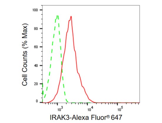 IRAK3 Antibody (23GB875)