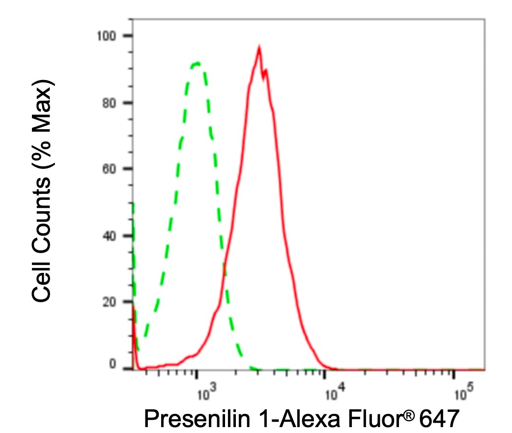 Presenilin-1 Antibody (24GB4515)