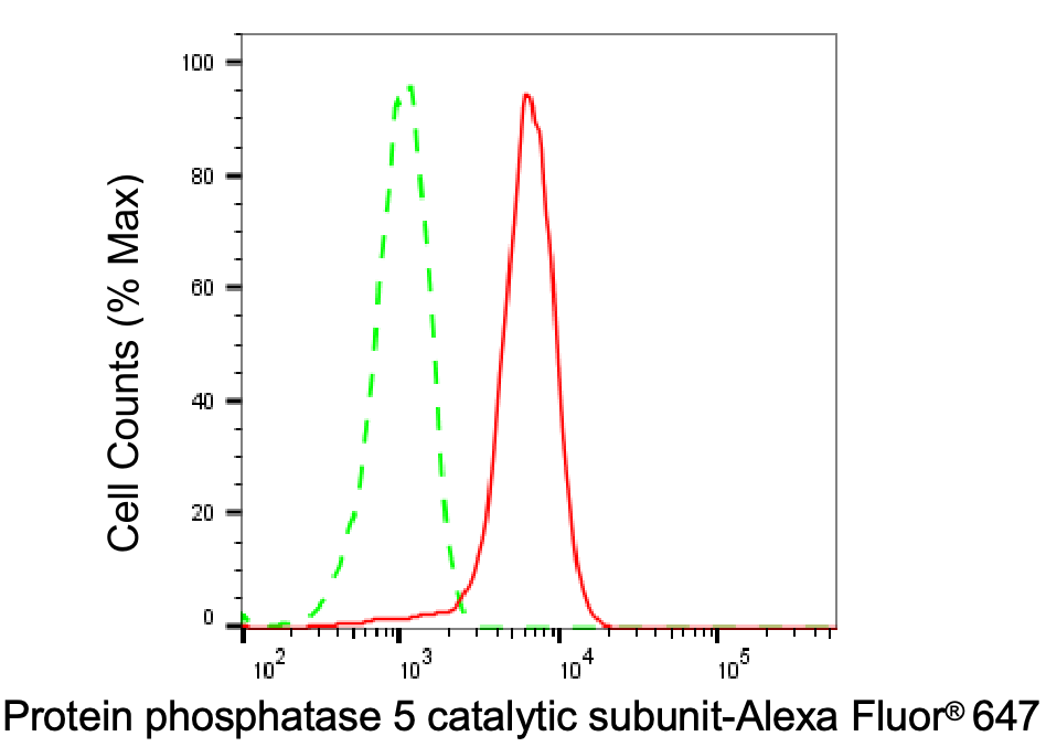 PP5 Antibody (24GB6665)
