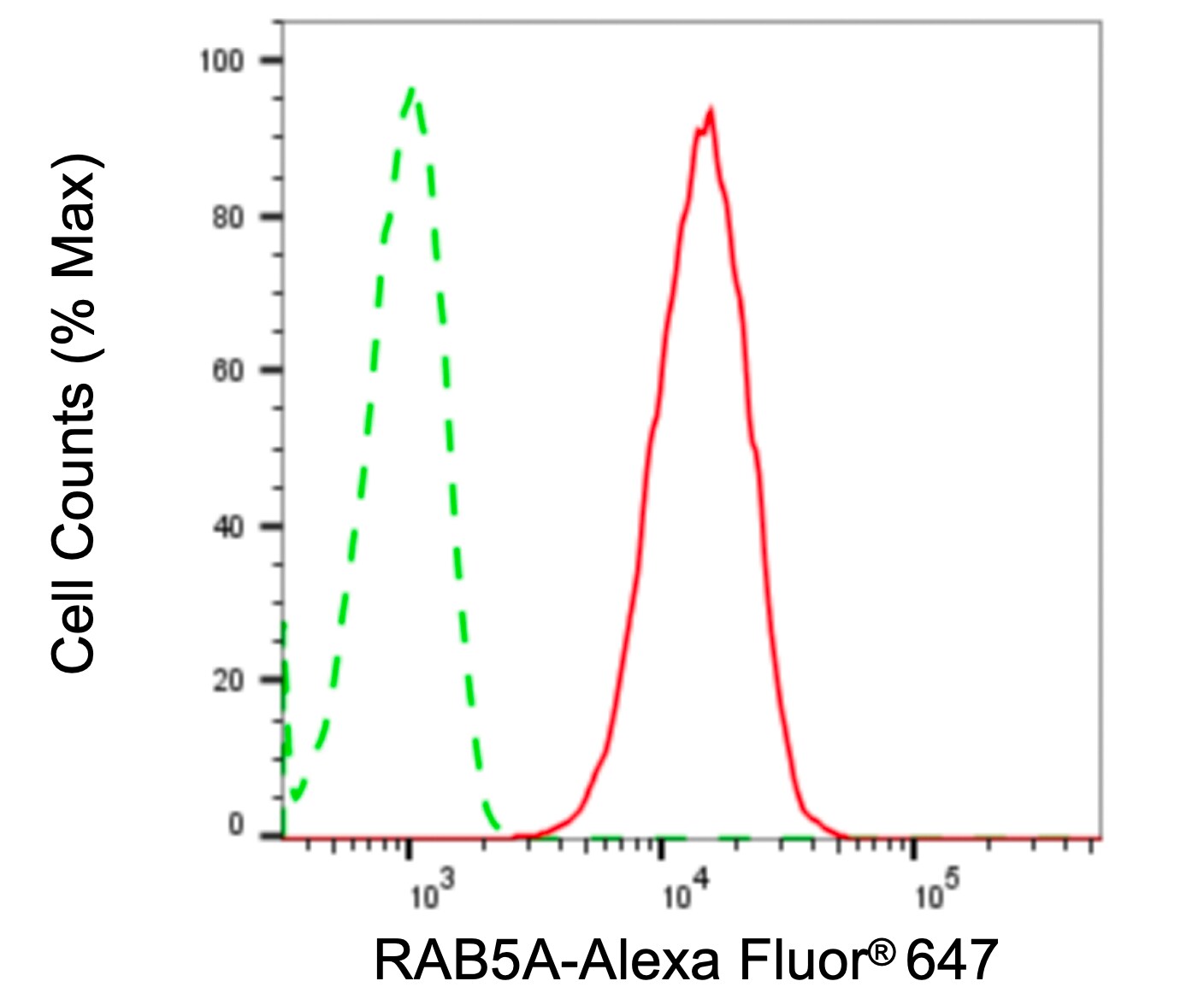 Rab5a Antibody (24GB4520)