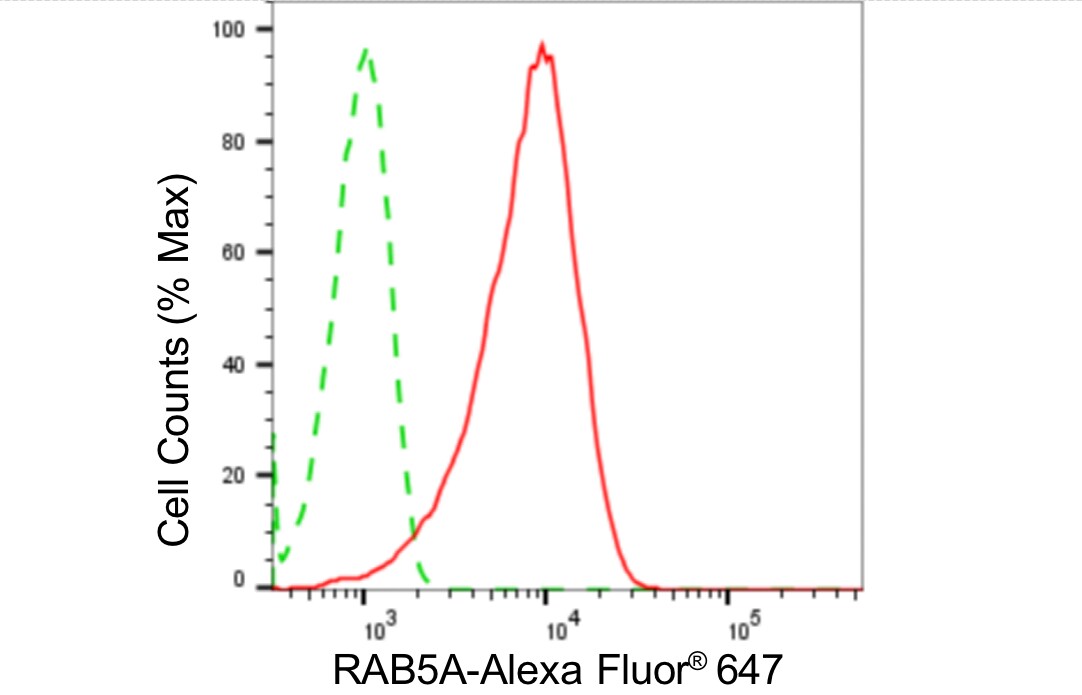Rab5a Antibody (24GB4525)