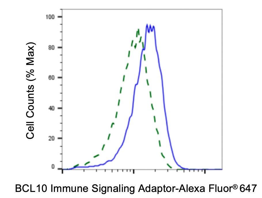 Bcl-10 Antibody (24GB4560)