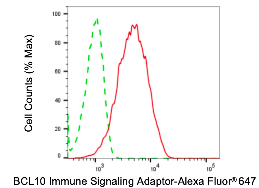 Bcl-10 Antibody (24GB4560)