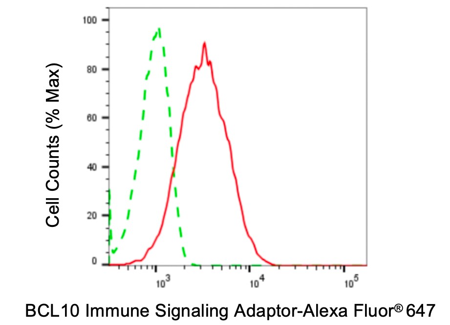 Bcl-10 Antibody (24GB4565)