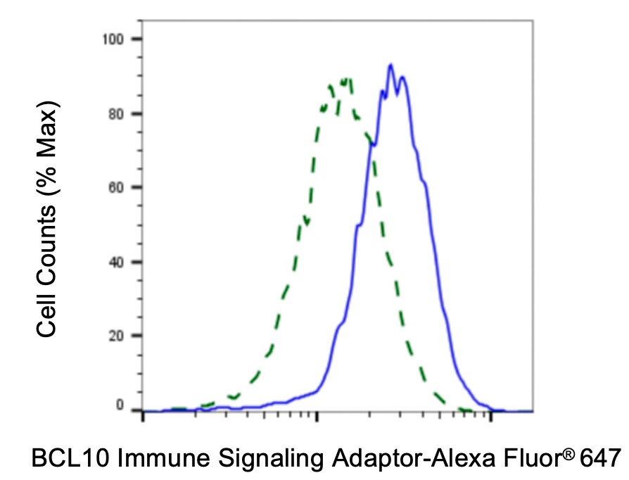 Bcl-10 Antibody (24GB4565)