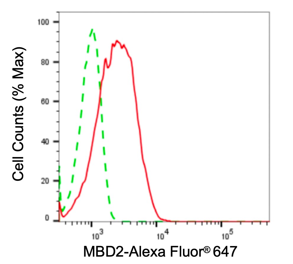 MBD2 Antibody (24GB4570)