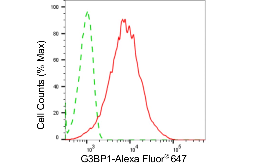 G3BP1 Antibody (24GB4580)