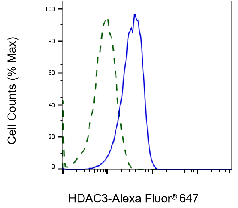 HDAC3 Antibody (23GB860)