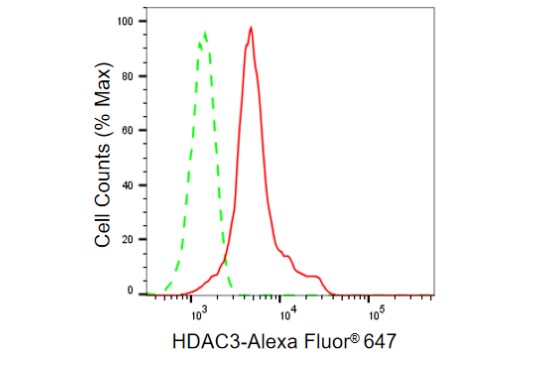 HDAC3 Antibody (23GB860)
