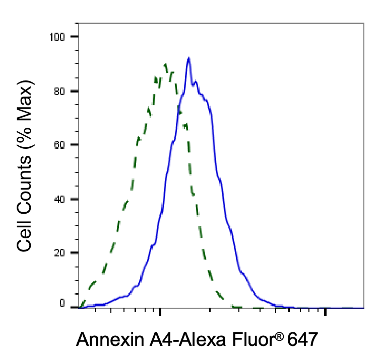 Annexin A4 Antibody (24GB4715)