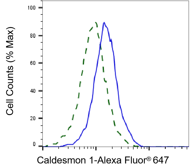 Caldesmon/CALD1 Antibody (24GB4735)