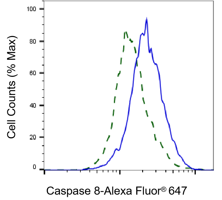 Caspase-8 Antibody (24GB4740)