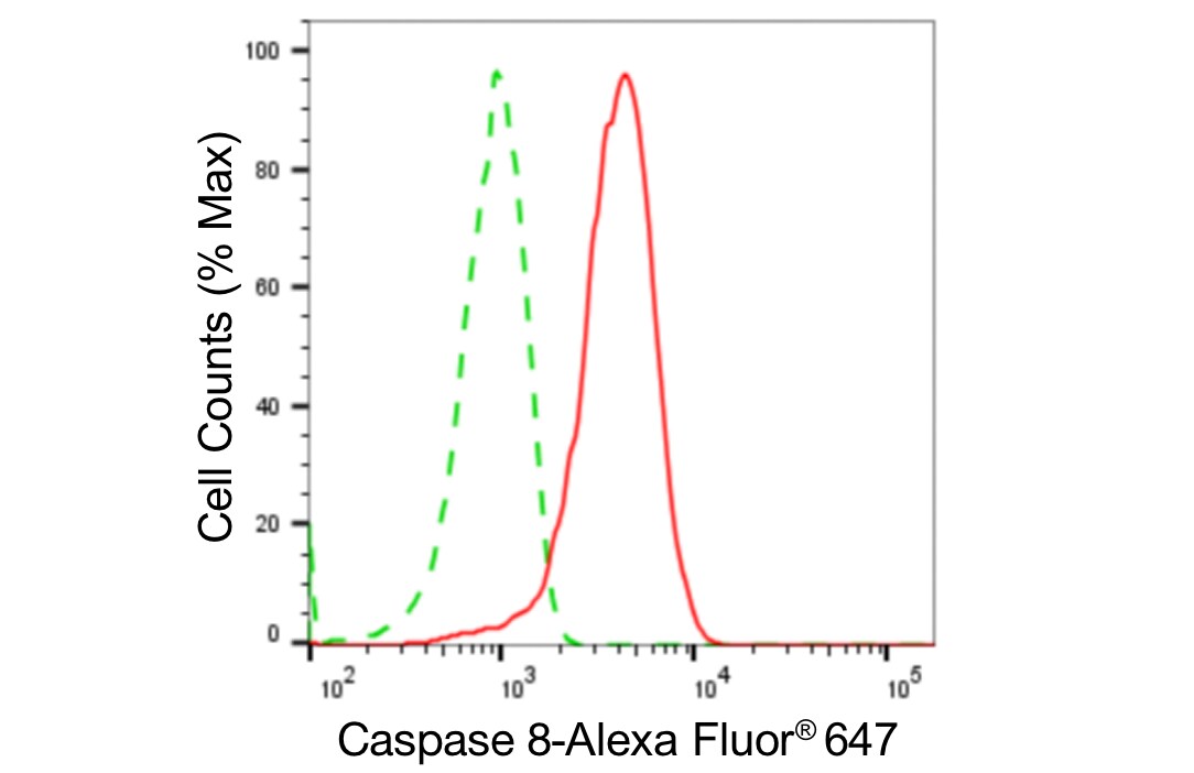 Caspase-8 Antibody (24GB4740)