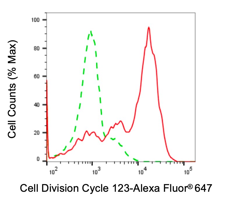 CDC123 Antibody (24GB4760)