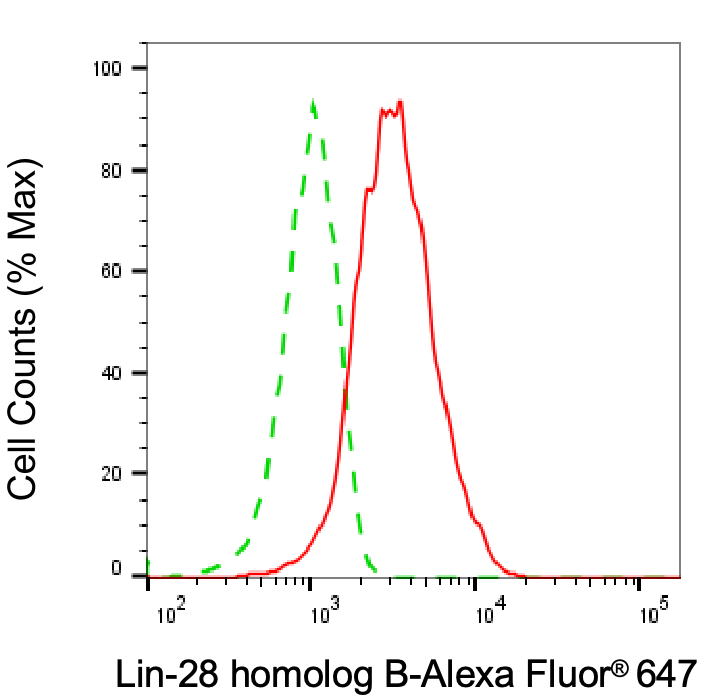 LIN-28B Antibody (24GB7210)