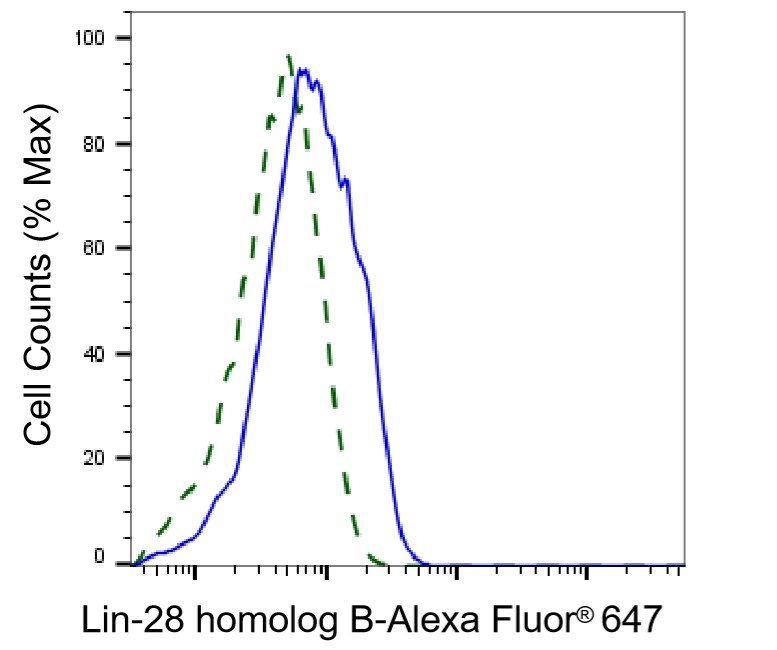 LIN-28B Antibody (24GB7210)
