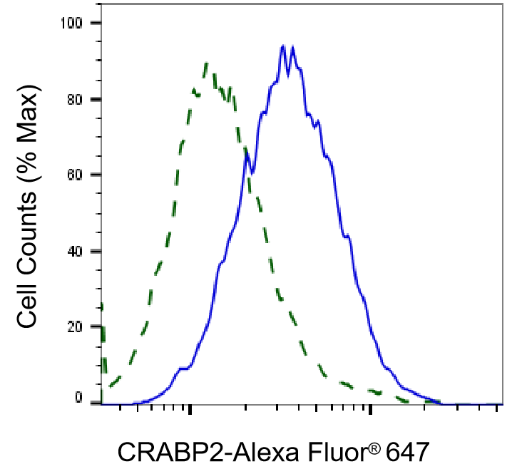 CRABP2 Antibody (24GB4790)