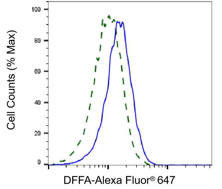 DFF45/ICAD Antibody (24GB4810)