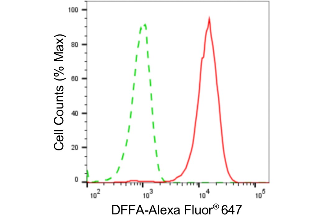 DFF45/ICAD Antibody (24GB4810)