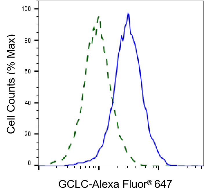 GCLC Antibody (24GB4860)