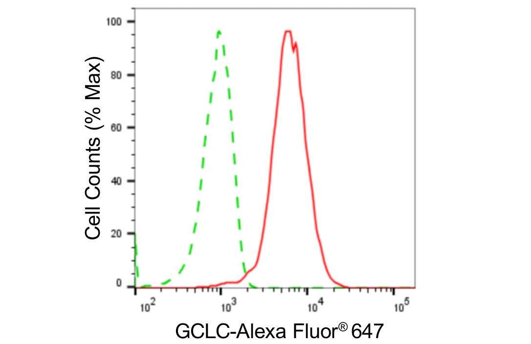GCLC Antibody (24GB4860)