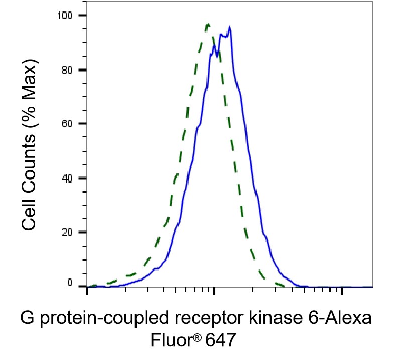 GRK6 Antibody (24GB4870)