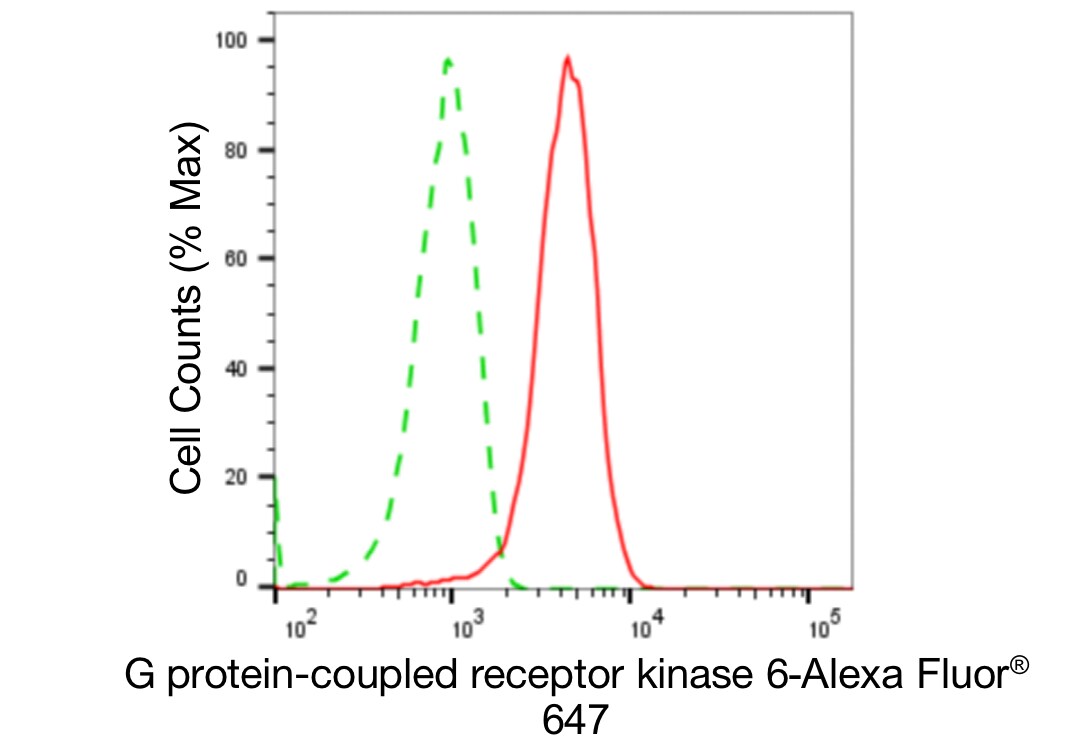 GRK6 Antibody (24GB4870)