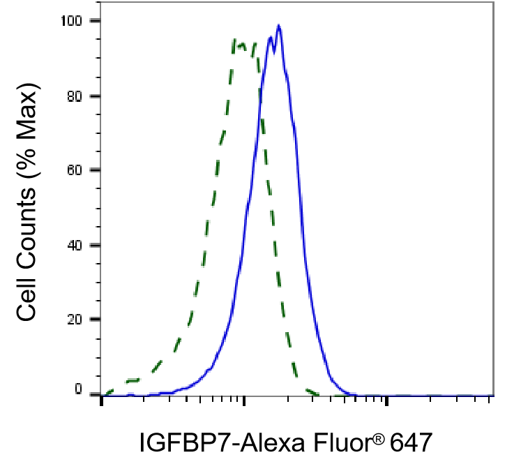 IGFBP-rp1/IGFBP-7 Antibody (24GB4910)