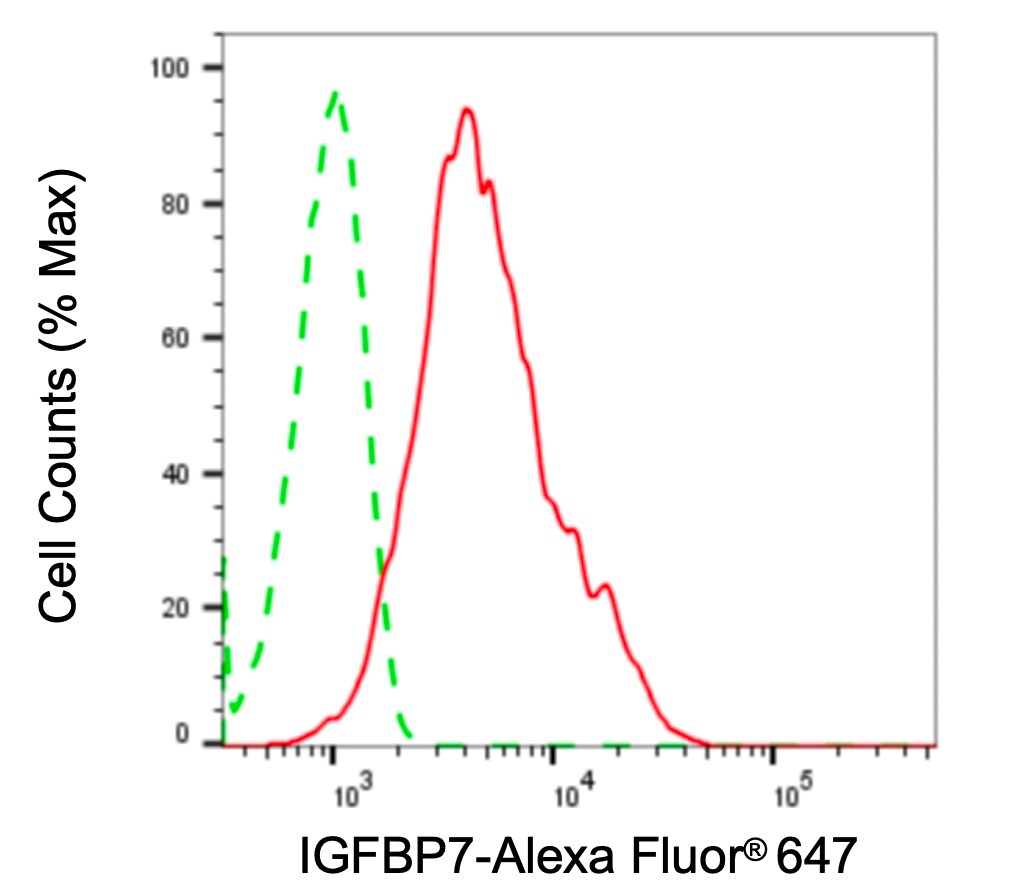 IGFBP-rp1/IGFBP-7 Antibody (24GB4910)