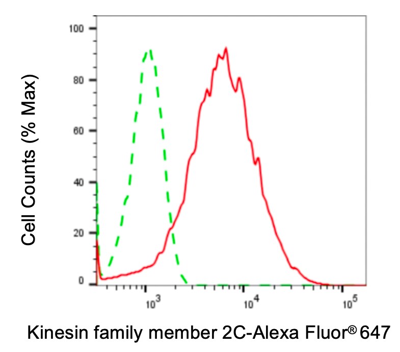 KIF2C Antibody (24GB4930)