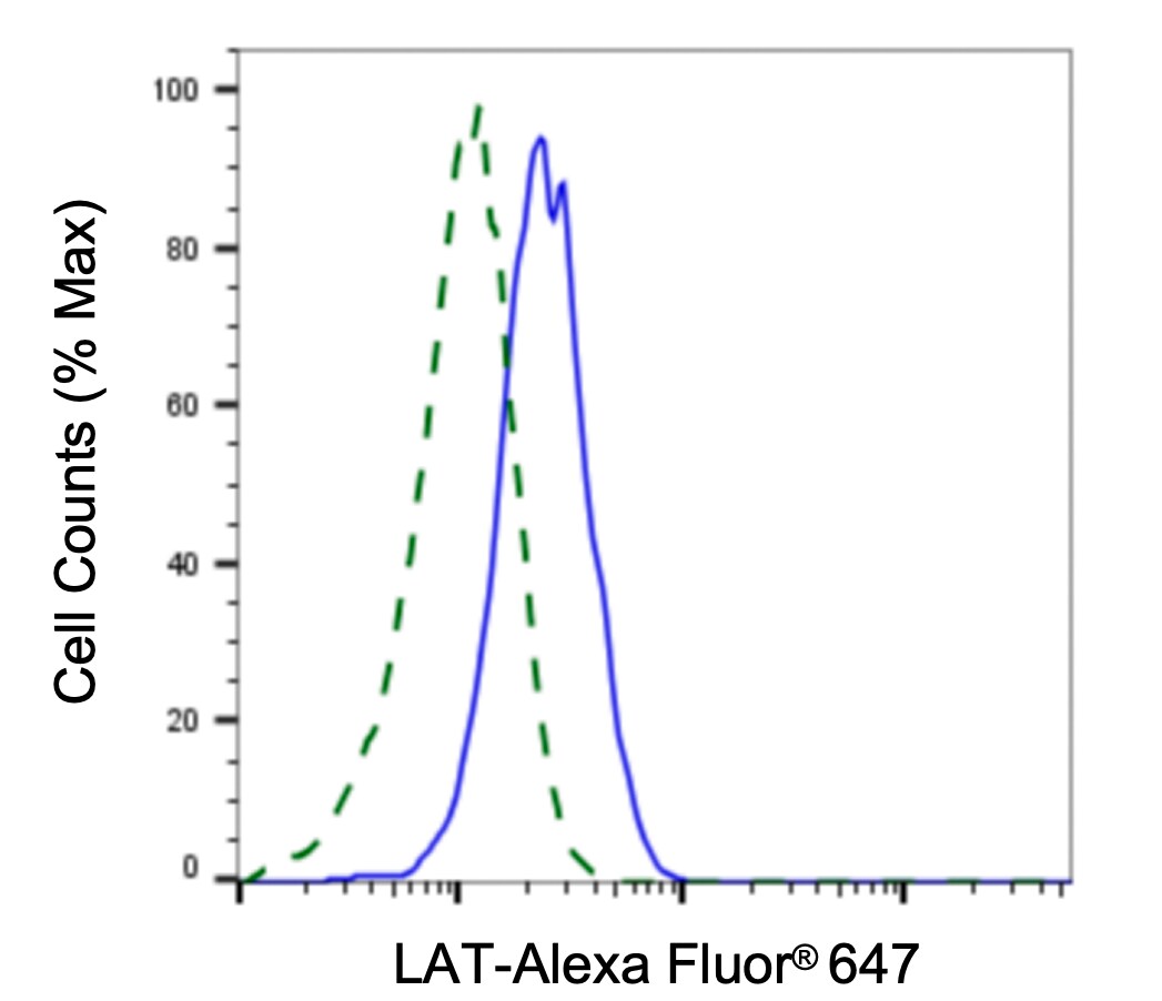 LAT Antibody (24GB4940)